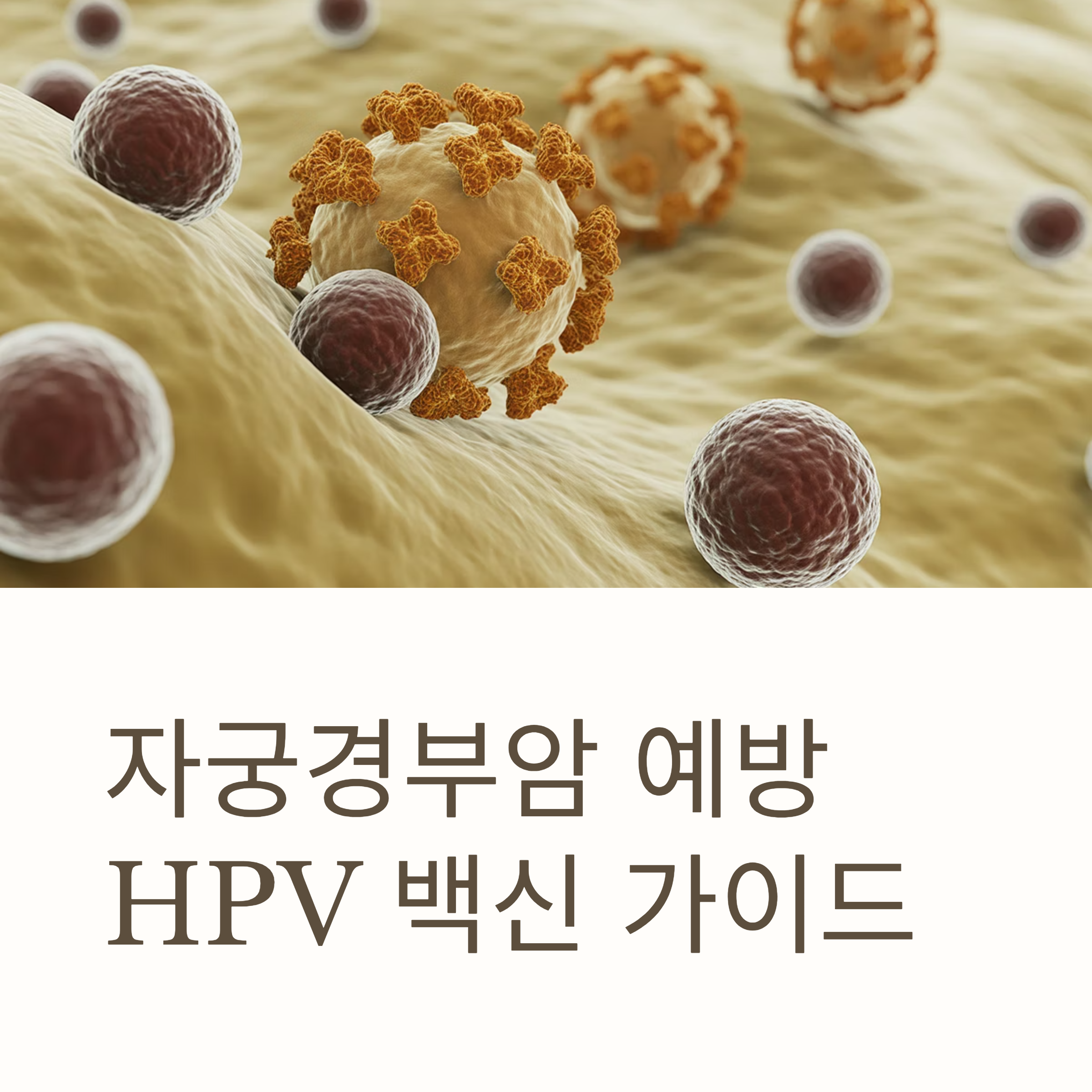 자궁경부암 예방접종 HPV 대표이미지