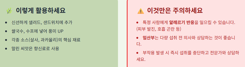 고수 효능 8가지와 부작용, 알레르기 및 부작용, 보관 방법!
