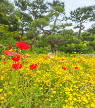 화담숲 전경사진