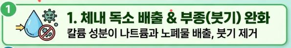 오이 효능