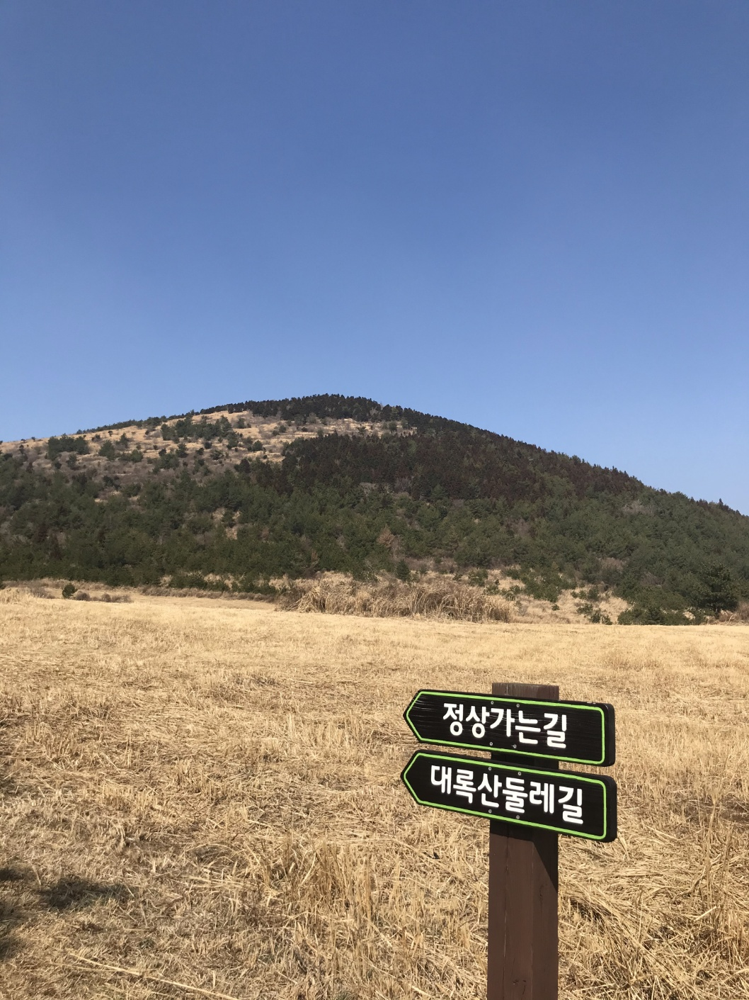 대록산 전경