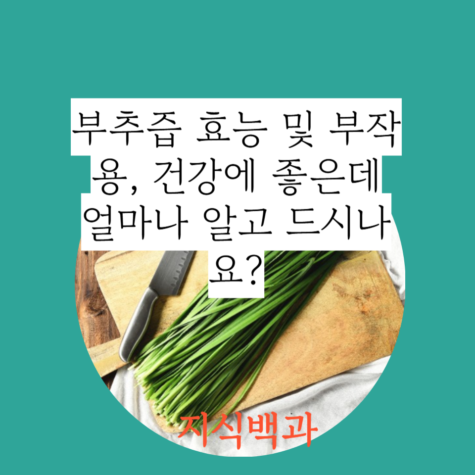 부추즙 효능 및 부작용, 건강에 좋은데 얼마나 알고 드시나요?