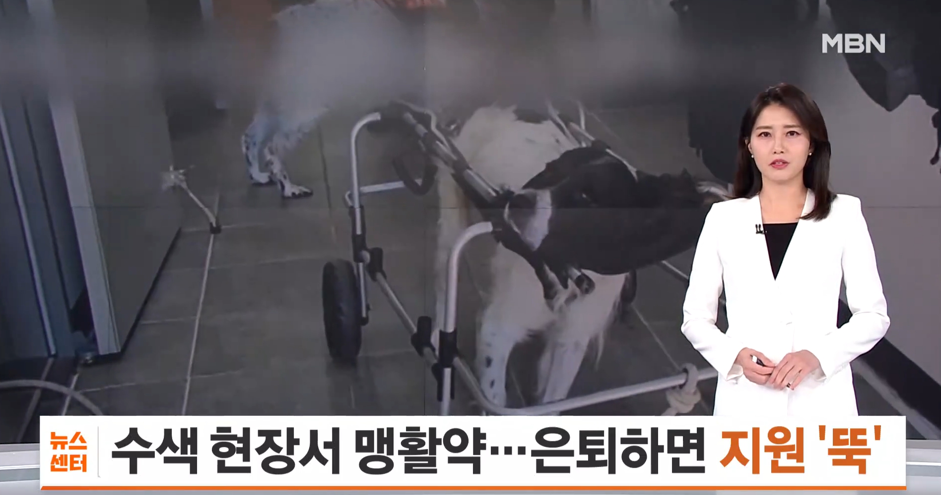 관련 법 제도의 공백…왜 이렇게까지 되었을까