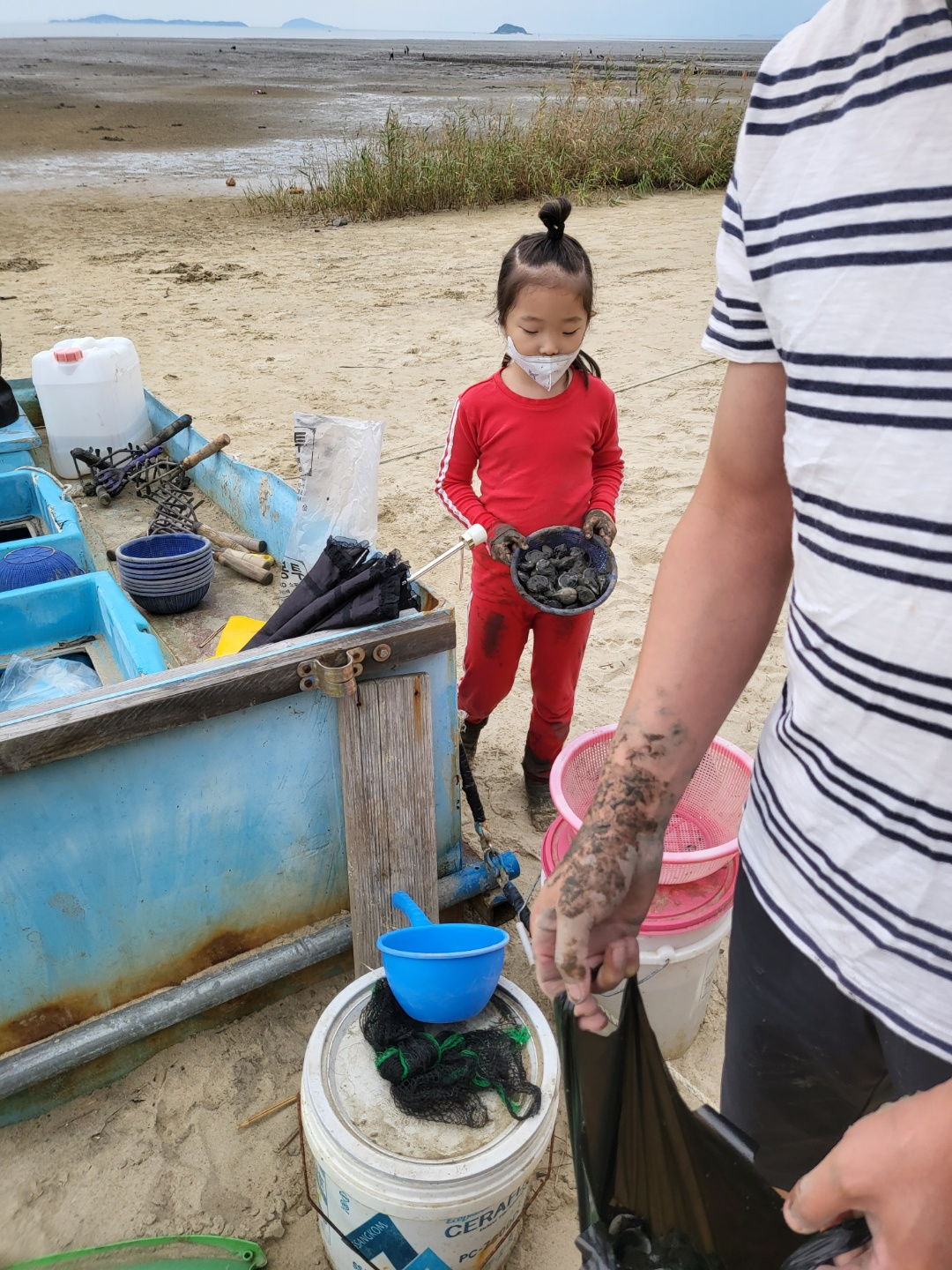 서천 갯벌체험&amp;#44; 모시조개 캐기 (서천송림갯벌체험장)