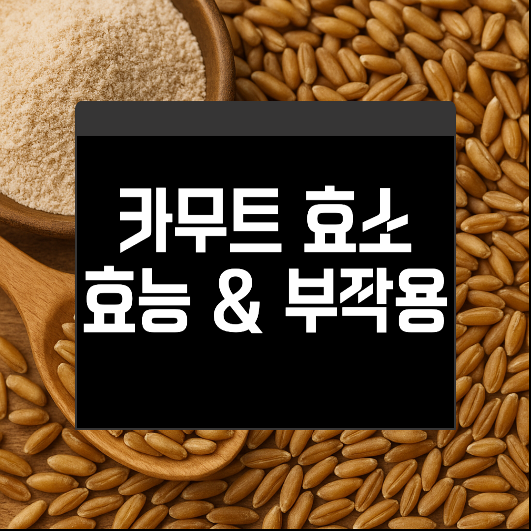 카무트 효소 효능 부작용