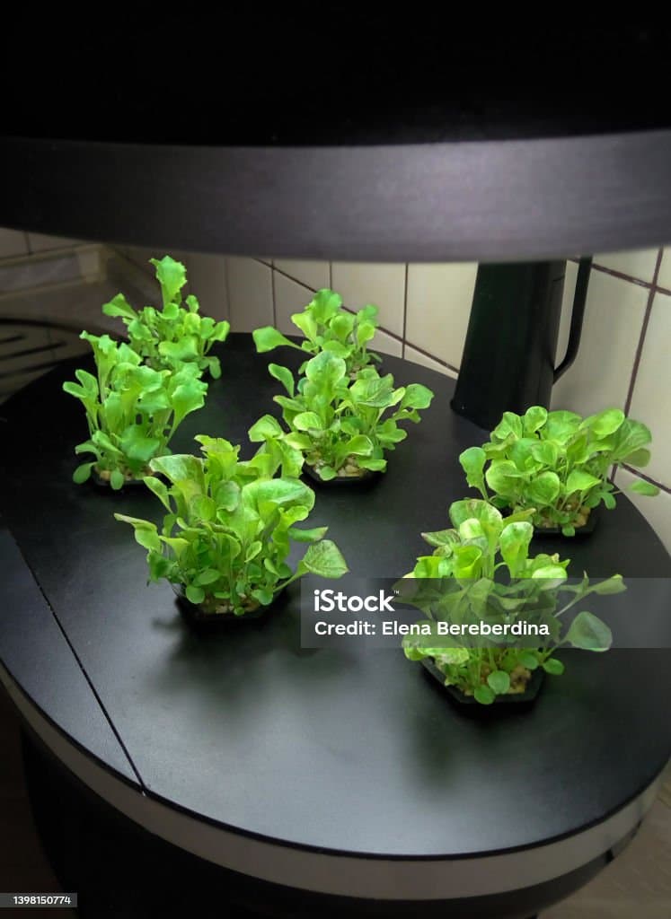 스마트 가드닝 시스템(Smart Gardening System): 기술과 혁신이 만드는 미래