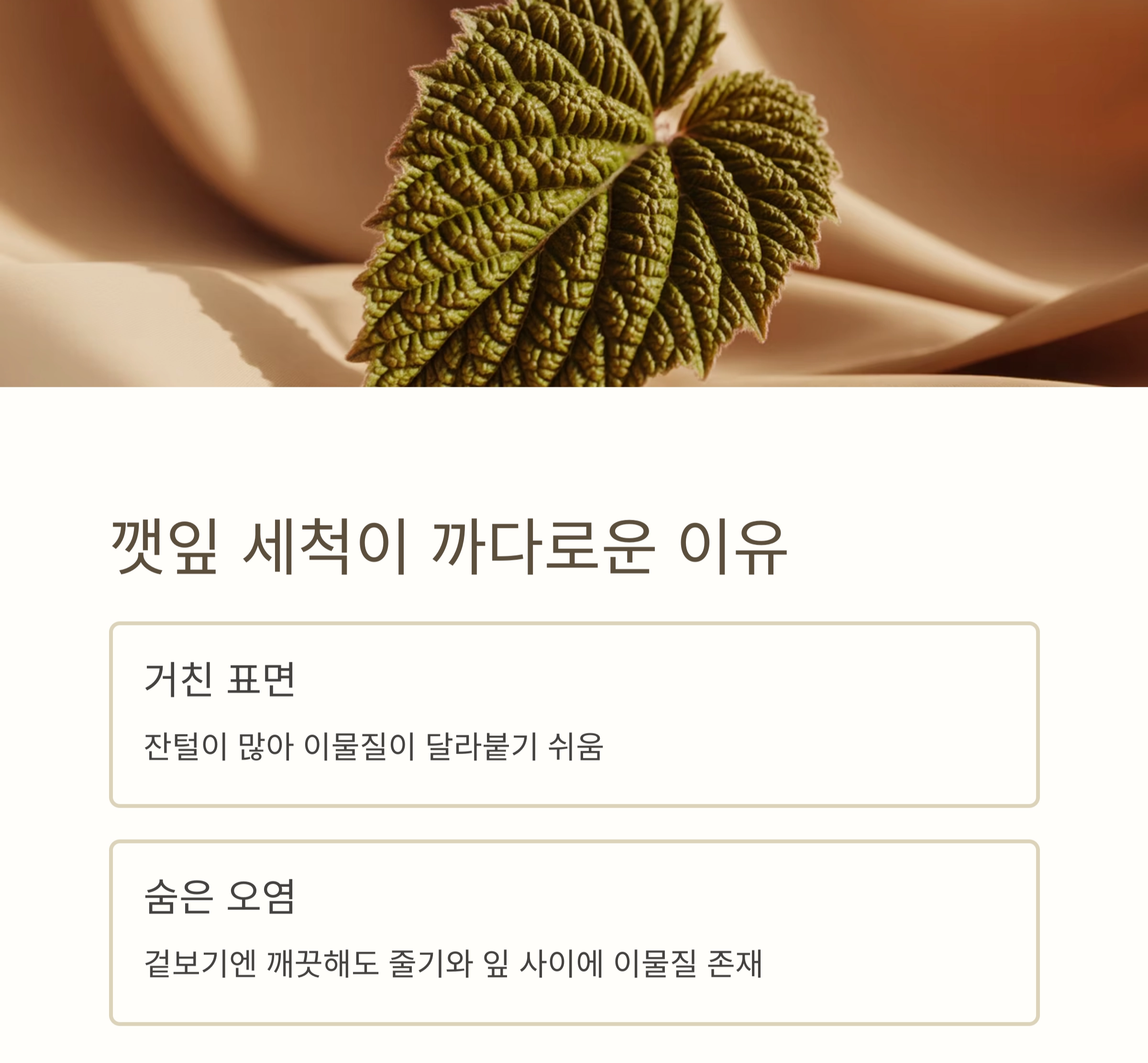 깻잎에 남은 이물질까지 말끔하게! 초보도 쉽게 하는 세척법