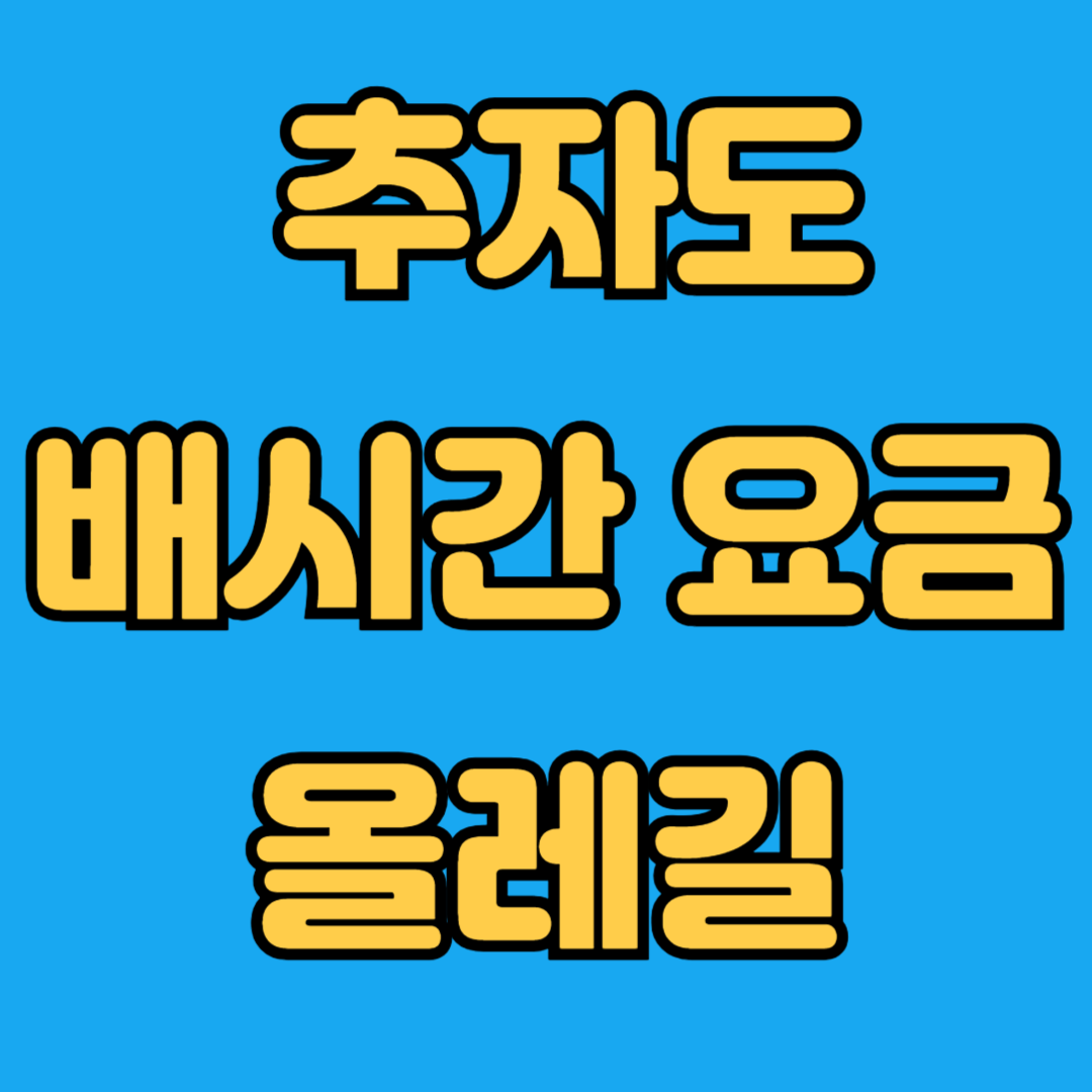 추자도 배시간 요금 올레길