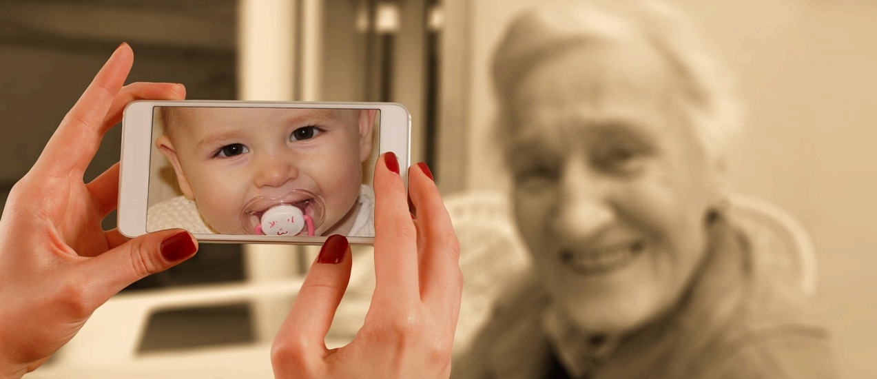 루바브 뿌리 효능 노화지연