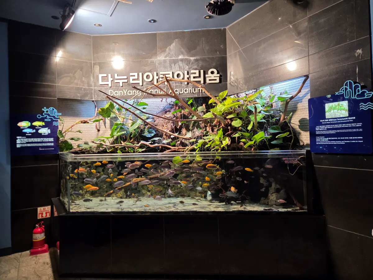다누리아쿠아리움07