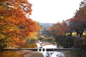 계룡산 단풍명소