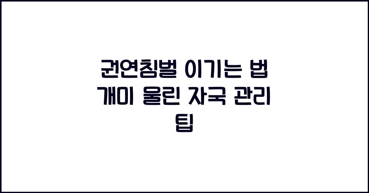 권연침벌