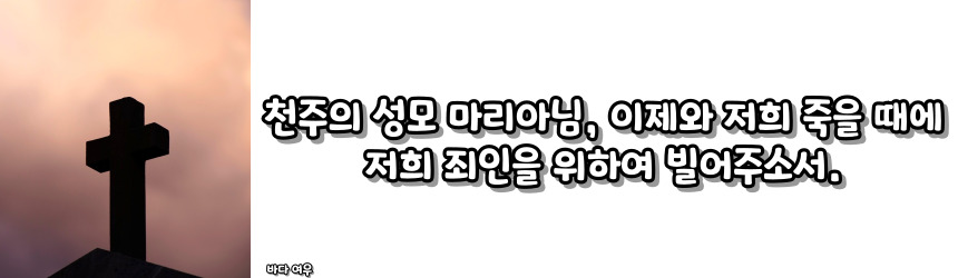 천주교 성모송 기도문과 기원