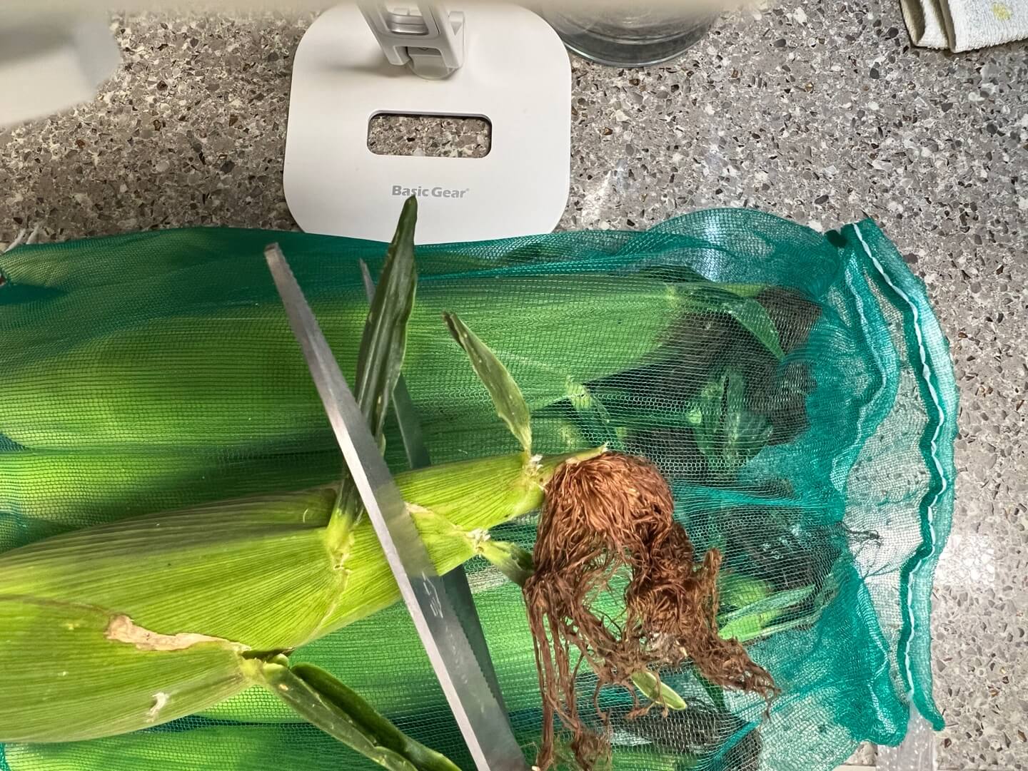 끝부분 2~3cm 정도를 잘라주세요