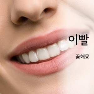 이빨 꿈해몽