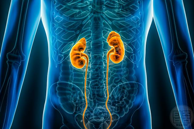 신장에 안좋은 습관