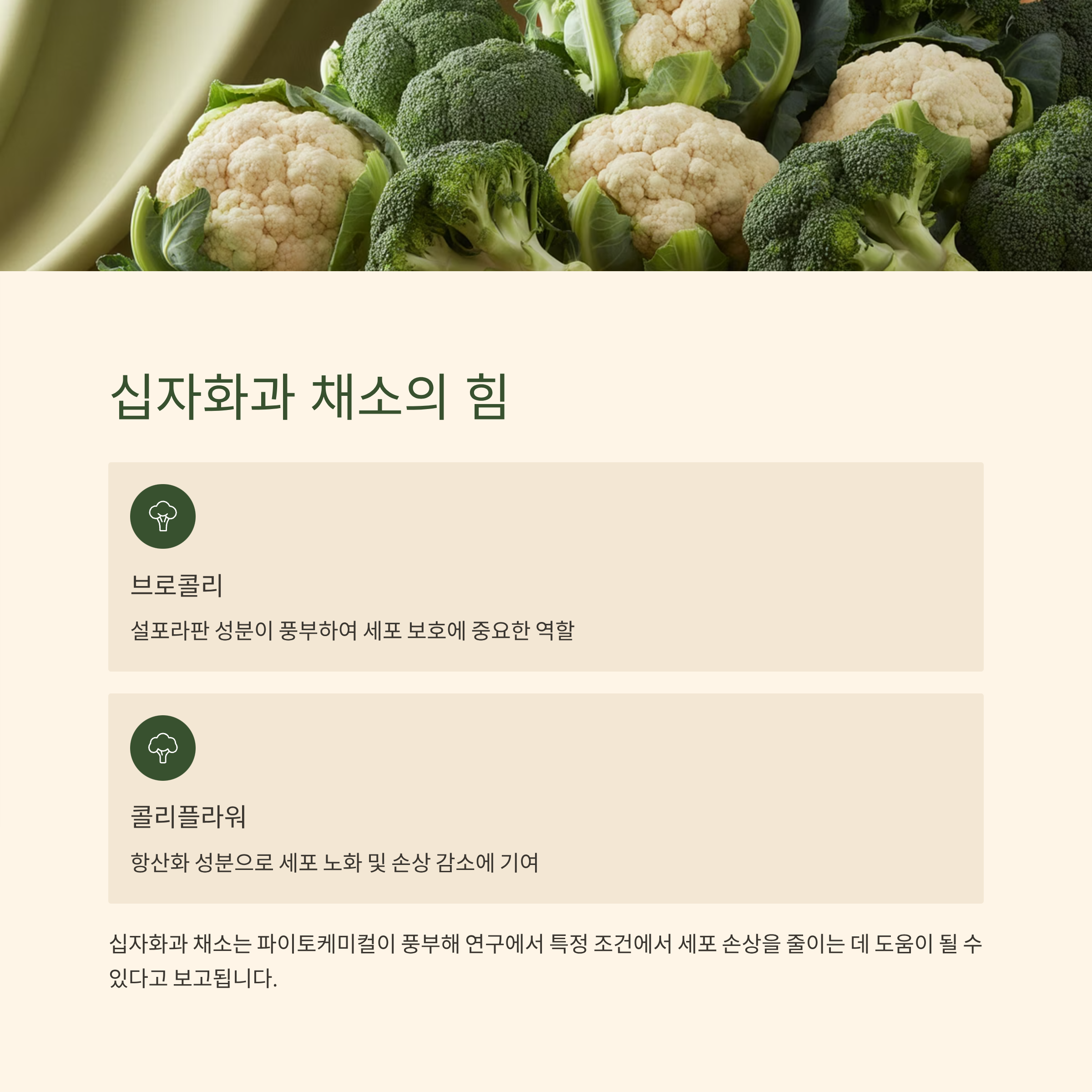 채소의 힘