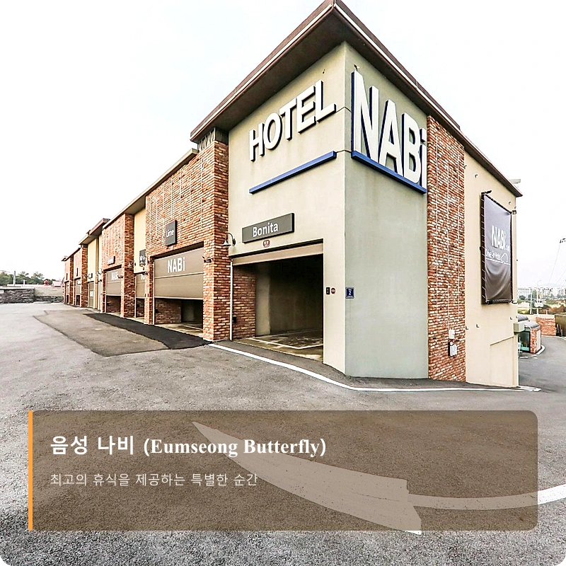 음성 나비 (Eumseong Butterfly)_3