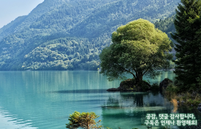 동남아나 휴양지 갈 때 챙겨가면 좋은 물건들