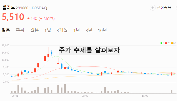 코로나 관련주 진단키트 대장주 테마주 TOP7