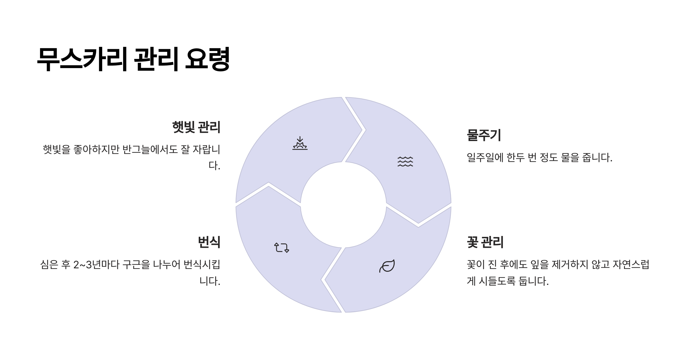 무리카리 꽃 사진