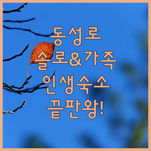 나홀로 여행객과 가족 투숙객을 위한 ..