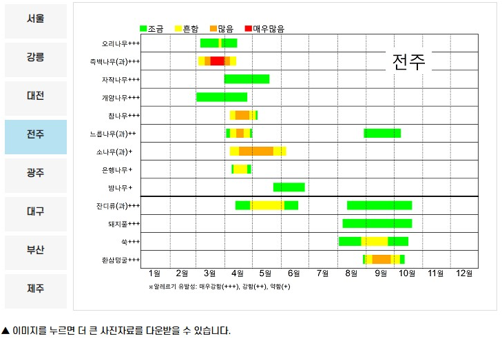 꽃가루 달력