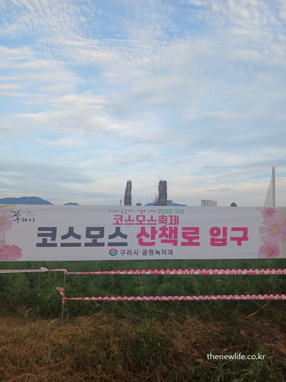 구리 코스모스 축제 산책로 입구 현수막 전경