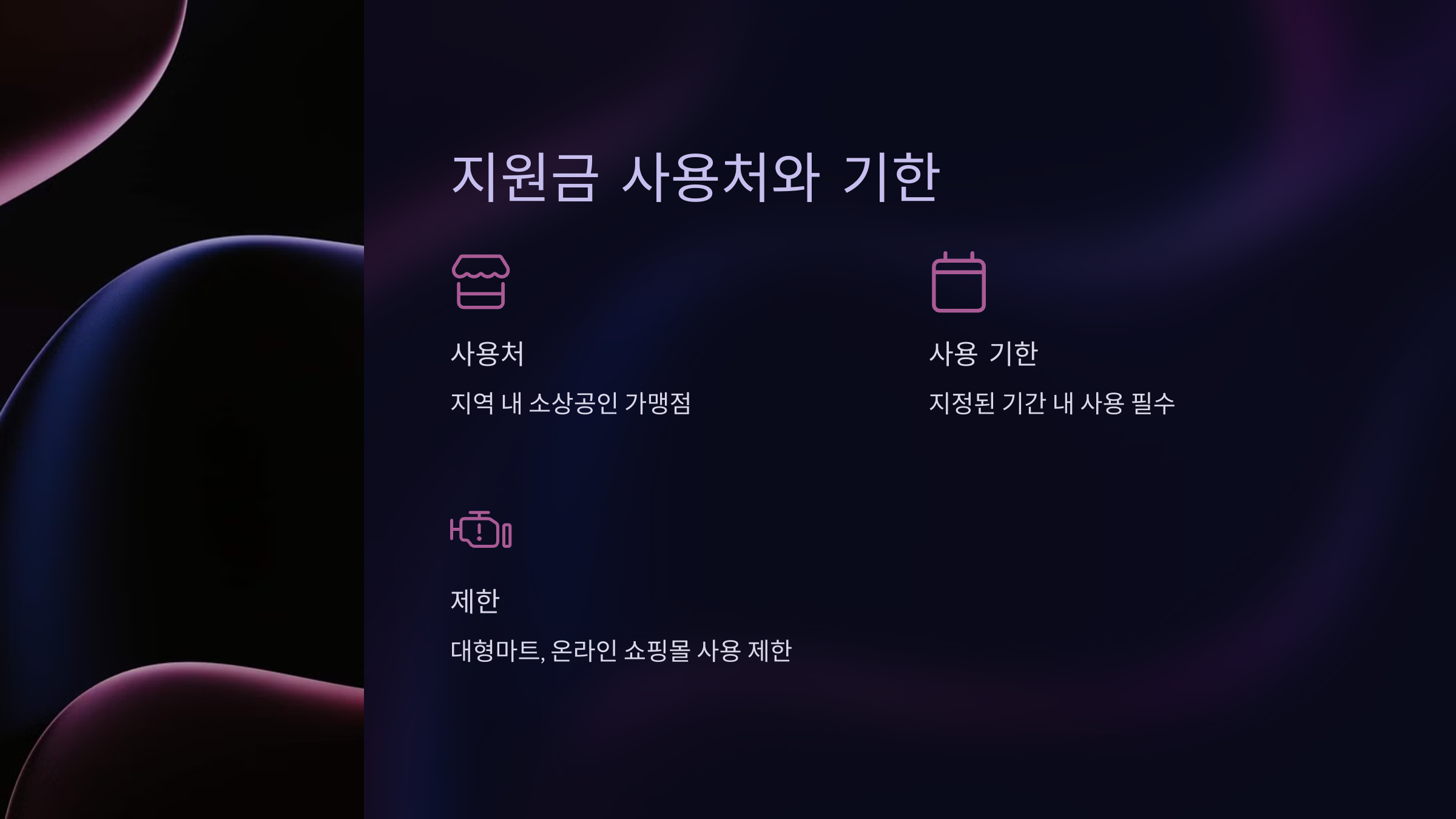 지원금 사용처와 기한