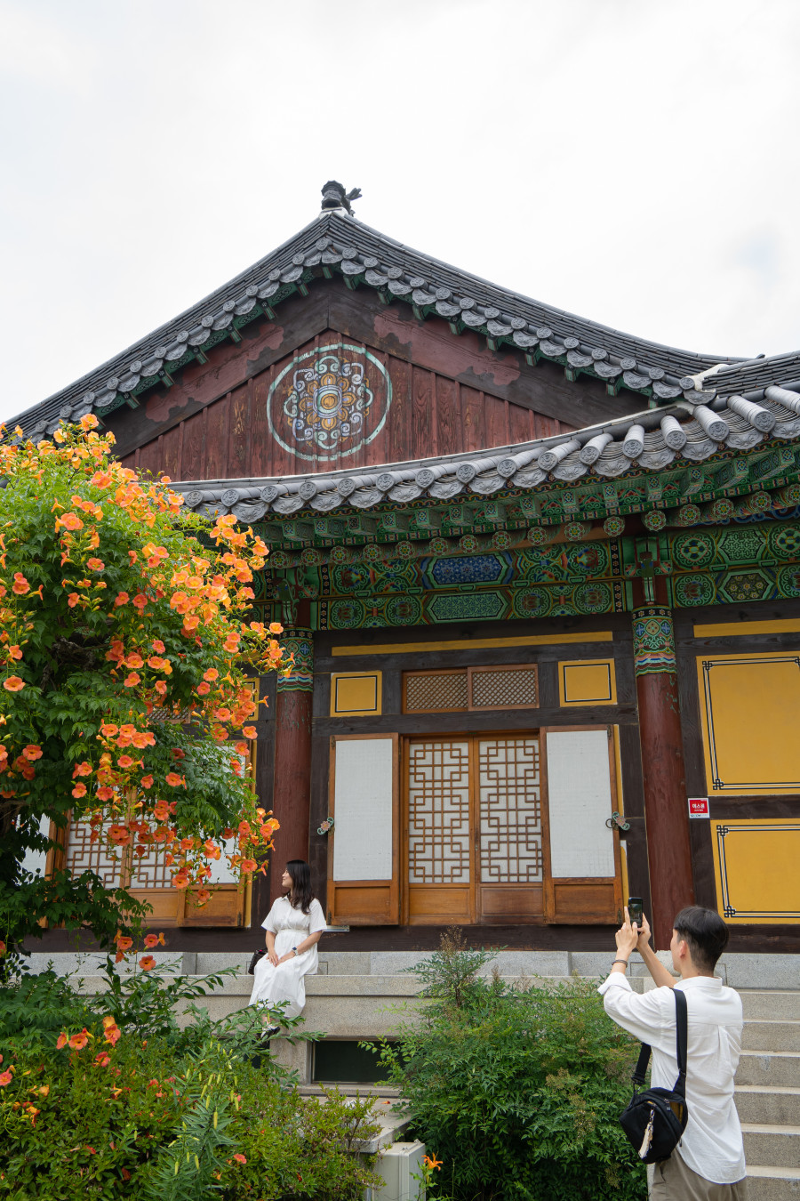 봉녕사 능소화 포토존