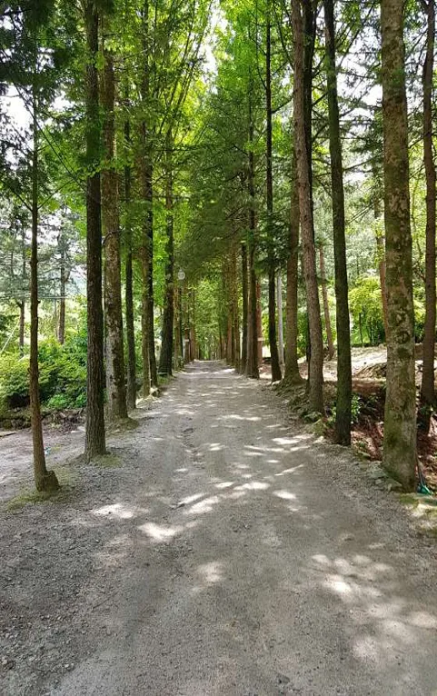 아버지의숲 산정캠프