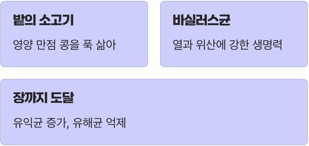 위대한 콩, 이로운 균을 만나다