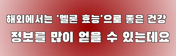 해외에서는 '멜론 효능'으로 좋은 건강 정보를 많이 얻을 수 있는데요