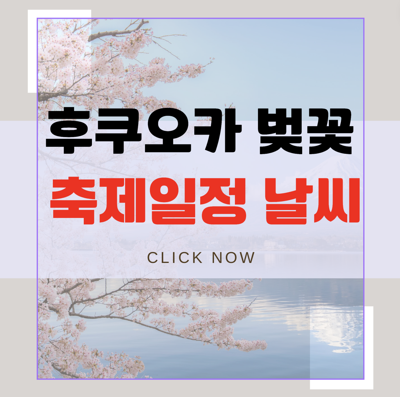 벚꽃