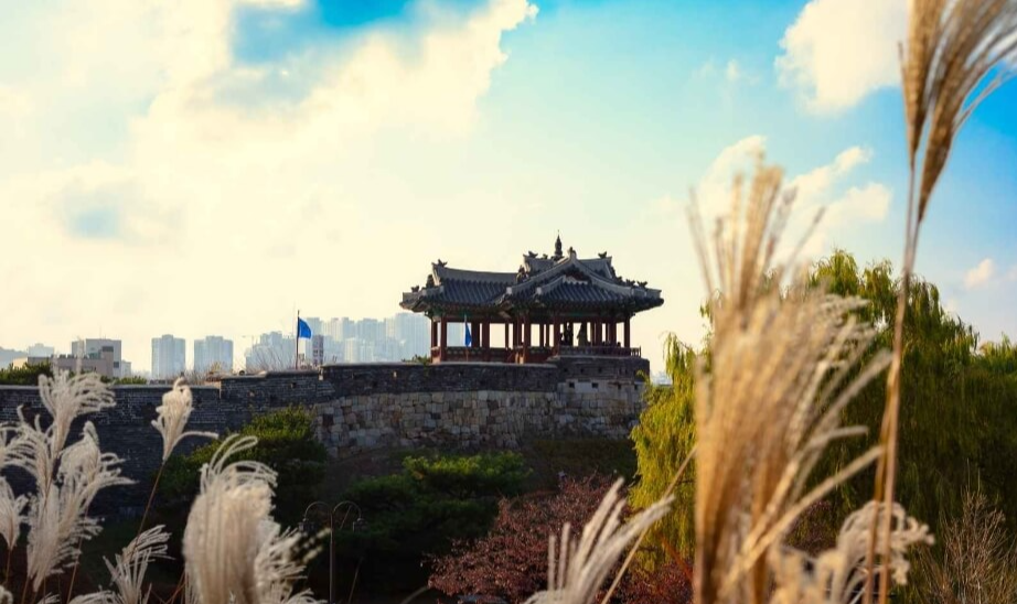 2024 억새축제 서울 하늘공원 억새축제 포천 명성산 억새축제 정선 민둥산 억새축제 시흥 갯골생태공원 억새 수원 방화수류정 억새 군락 억새축제 주차 정보 억새밭 사진 명소 억새축제 일정 2024 억새 관람 팁 억새축제 명소 추천 억새밭 가을 여행지