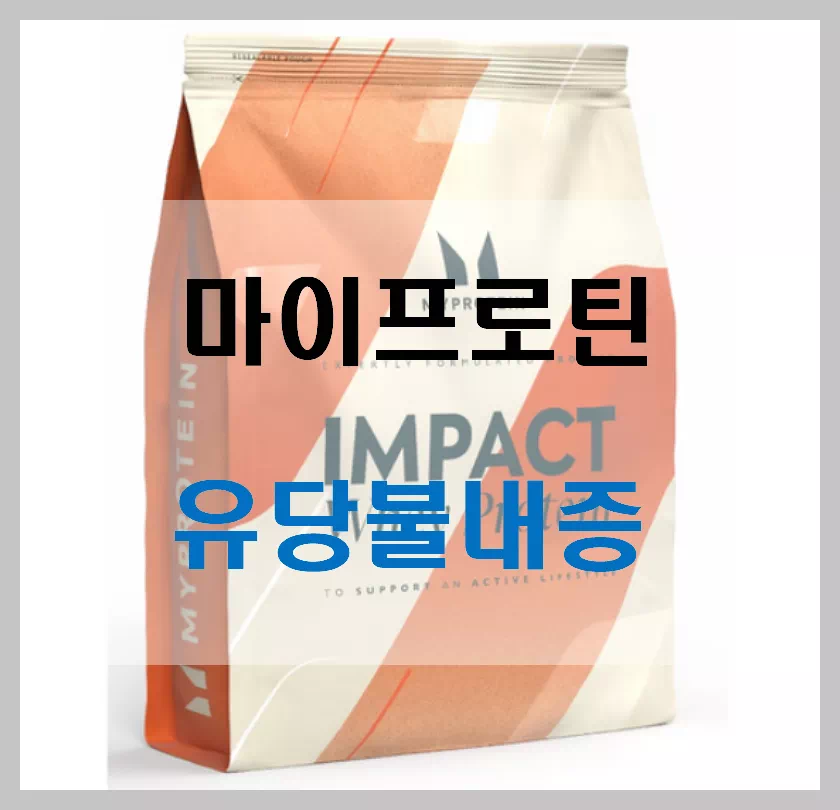 마이프로틴 유당불내증