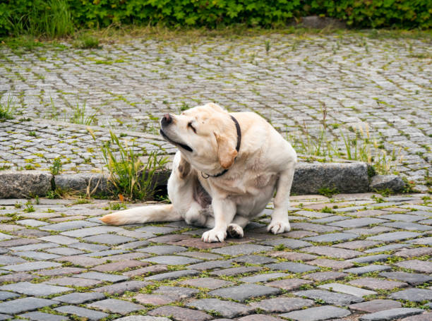 추천 피부 관리 제품
