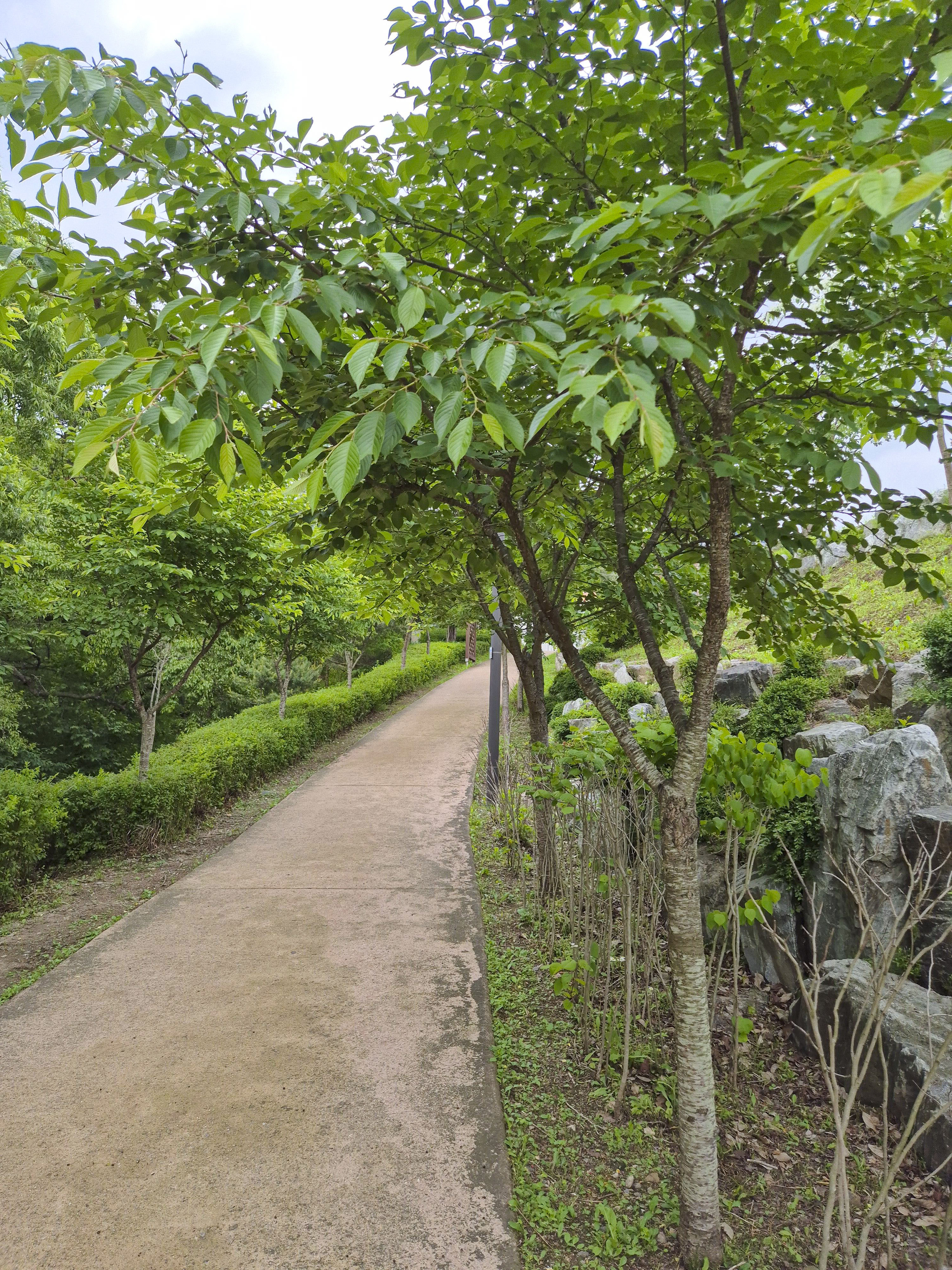 진관사로 가는 또 다른 길