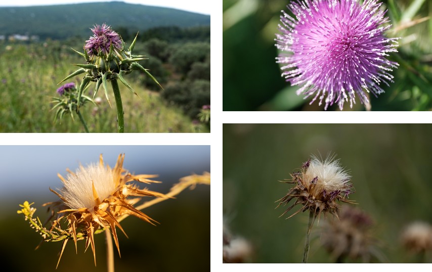 간 건강을 지키는 최고의 음식