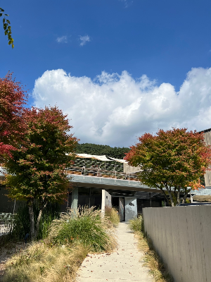 비슬산 슬로우스톤