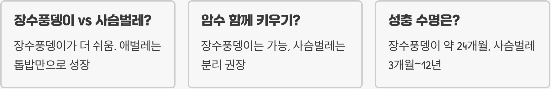 초보 집사 필독! 우리 아이 첫 반려동물 딱정벌레 키우기 A to Z (사육통, 먹이, 관찰일지)