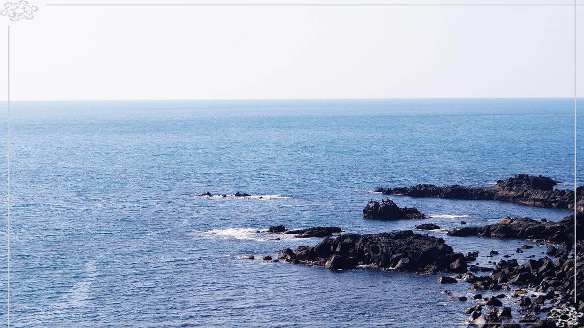 8월 국내여행 바다