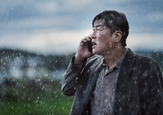 신예 vs 중견 감독 작품 비교