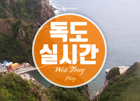 독도 실시간 영상