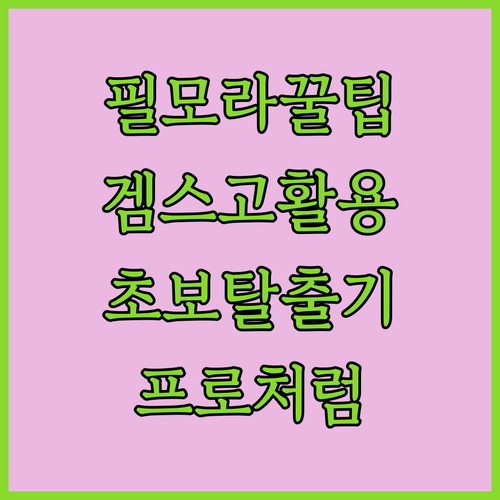 초보도 프로처럼! 필모라+겜스고 활용