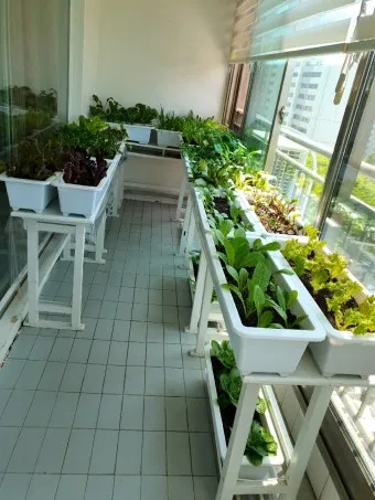 베란다 텃밭 흙 고르기 배수층 화분 선택 물주기 비료주기_19