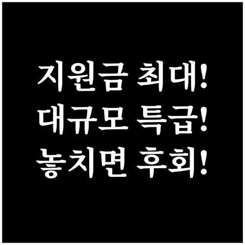 태양광 설치 비용 절감 보조금과 대규..