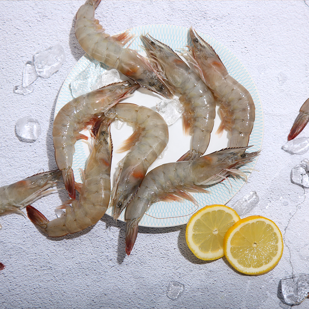 새우 효능 및 부작용