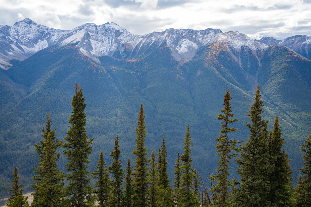 캐나다 밴프 곤돌라 정상