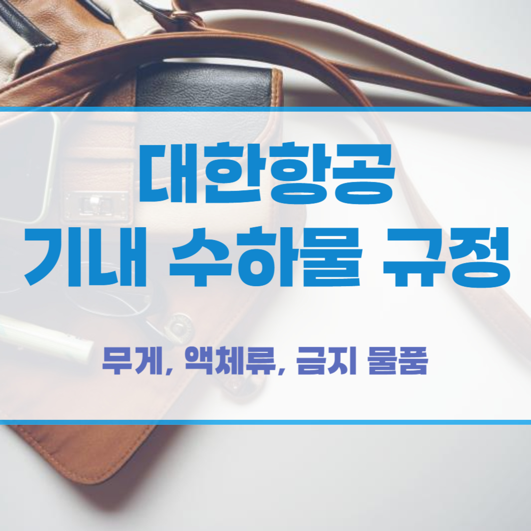 대한항공 기내 수하물 규정
